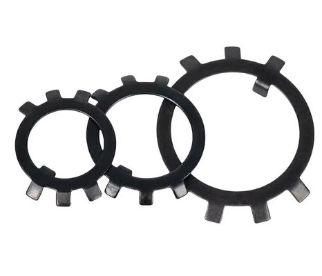 Μαύρο ψευδαργυρωμένο ατσάλι στρογγυλό νάτσο διατηρητή έξι νύχια αντι-αποξείδωσης αποσύνδεση επίπεδο πλυντήριο για τη γενική βιομηχανία DIN Standard 300