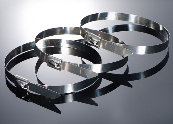 Εσωτερική συσκευή επικάλυψης PVC SS304/316/201 βαρύ φορτίο επένδυση αυτοαποδέσμευση καλωδίου από ανοξείδωτο χάλυβα με πλαστική ψεκασμένη μπάλα μετάλλου 100PCS