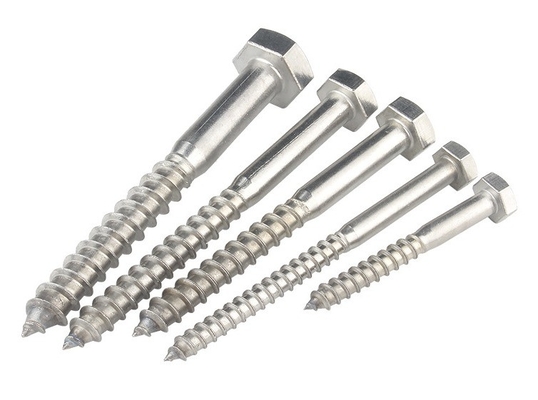 Μετρικό σύστημα μέτρησης A2 A4 Hex Lag Screw από ανοξείδωτο χάλυβα 304 316 Din 571 ξύλο