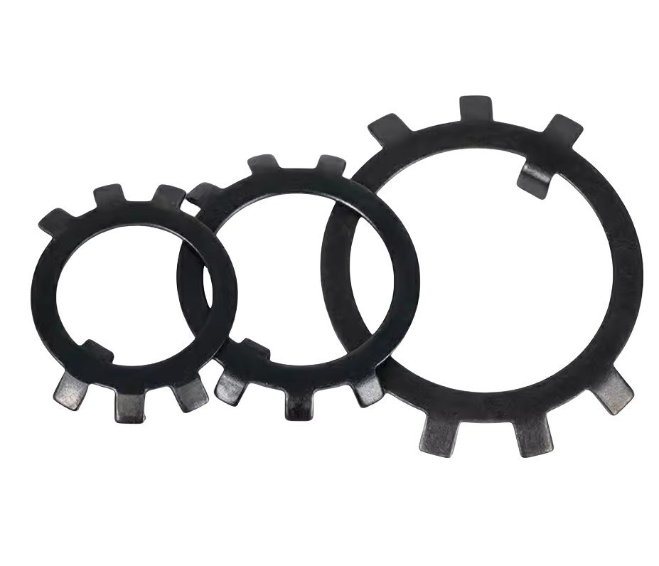 Μαύρο ψευδαργυρωμένο ατσάλι στρογγυλό νάτσο διατηρητή έξι νύχια αντι-αποξείδωσης αποσύνδεση επίπεδο πλυντήριο για τη γενική βιομηχανία DIN Standard 300